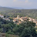 Les Vignes Et La Pinede Pres De La Plage