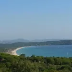 Les Vignes Et La Pinede Pres De La Plage