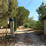 Les Vignes Et La Pinede Pres De La Plage