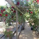Villa Ingrid