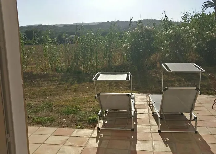 Les Vignes Et La Pinede Pres De La Plage