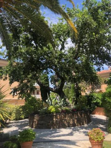 Belle Au Centre De Tropez Avec Piscine Et Garage Apartment Saint-Tropez