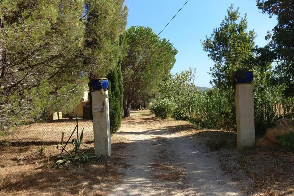 Les Vignes Et La Pinede Pres De La Apartment *