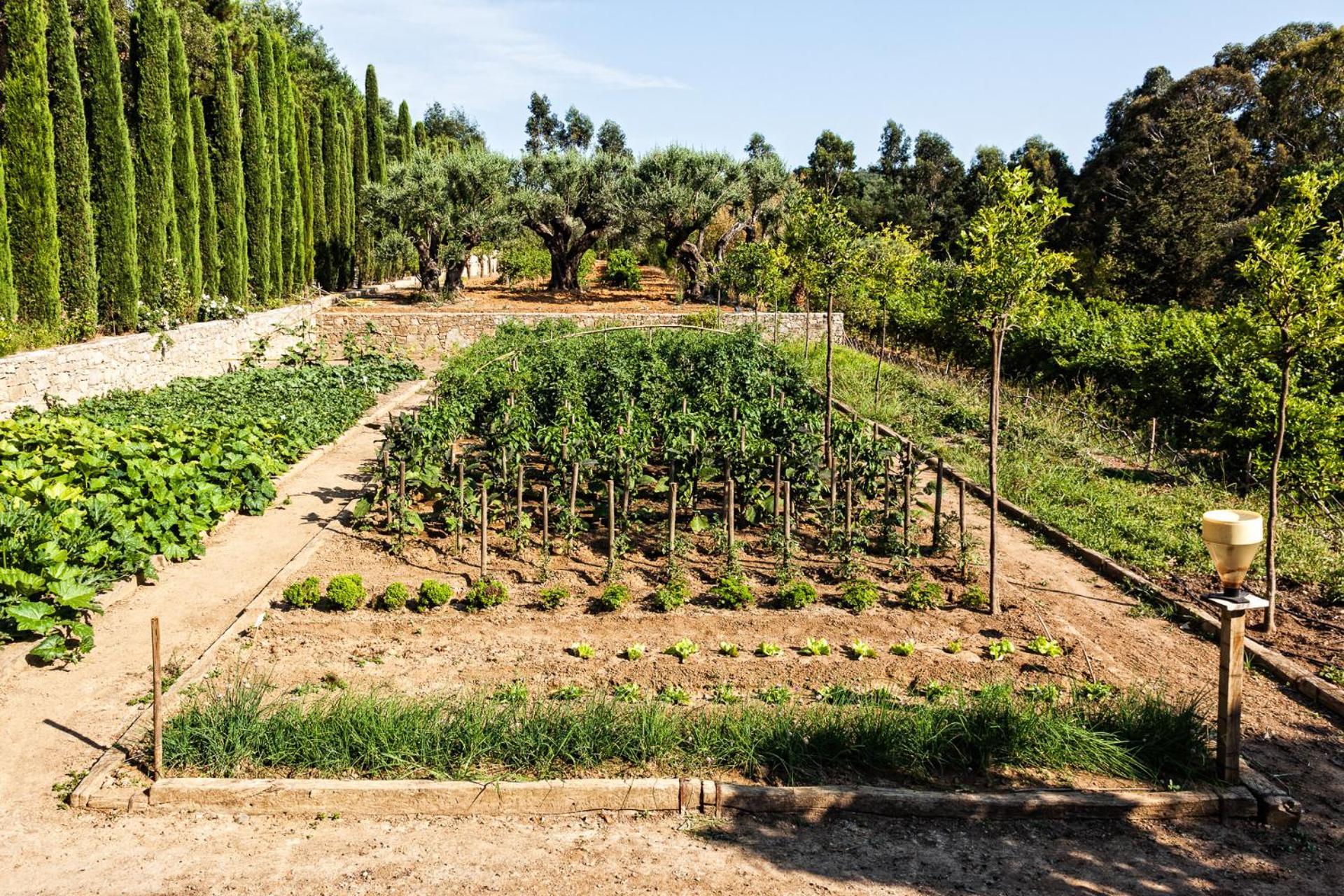 Domaine Les Mesanges Gassin