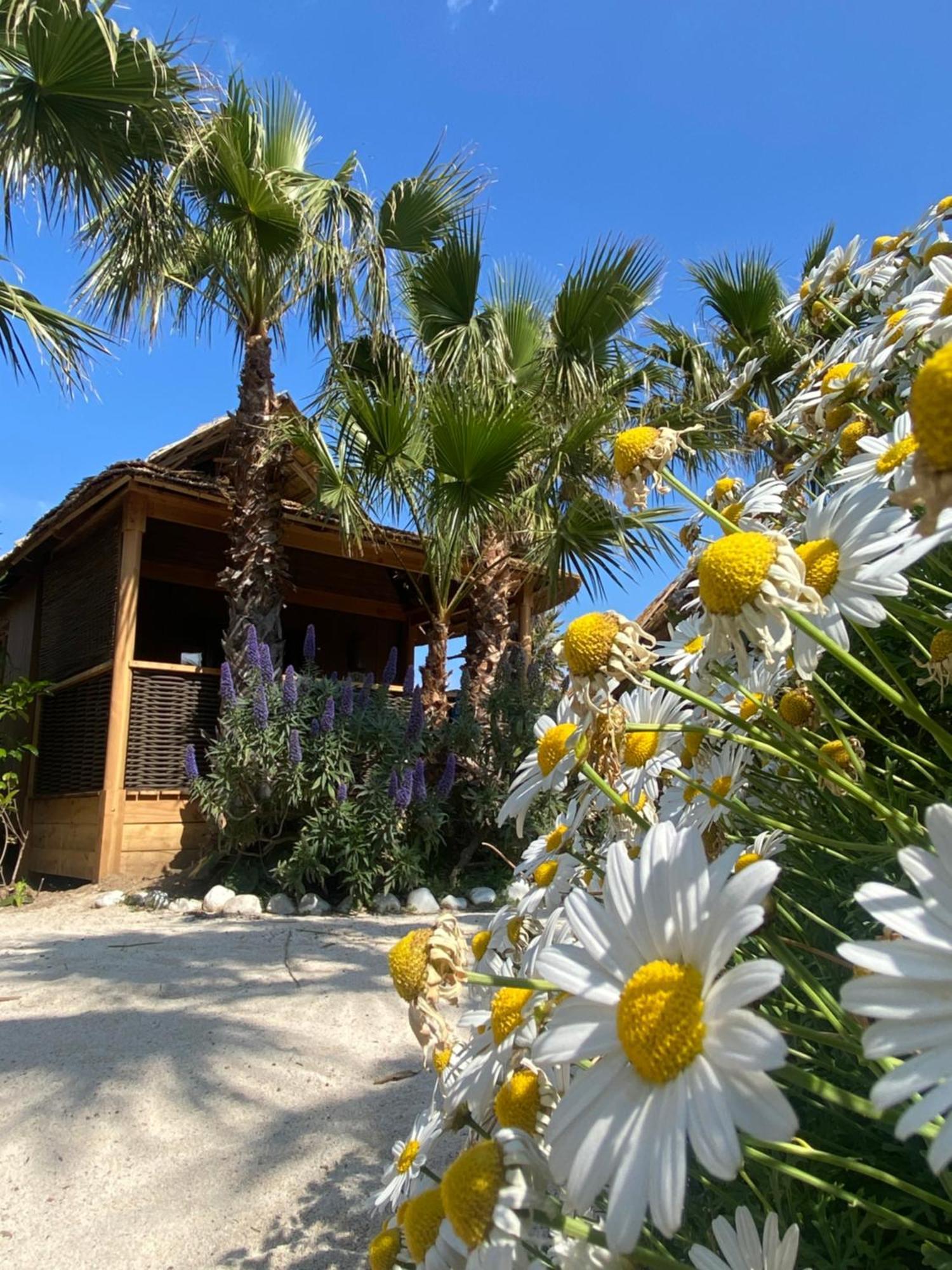Kon Tiki Resort *