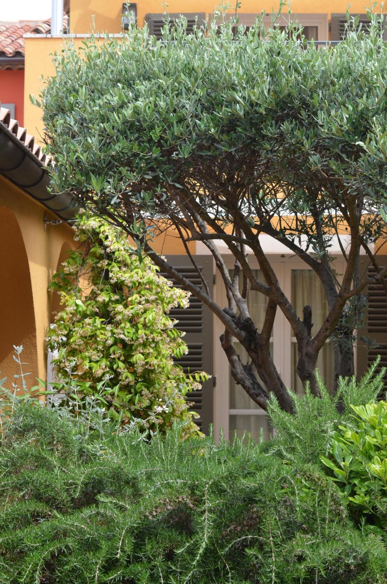 Le Mouillage 4* Saint-Tropez