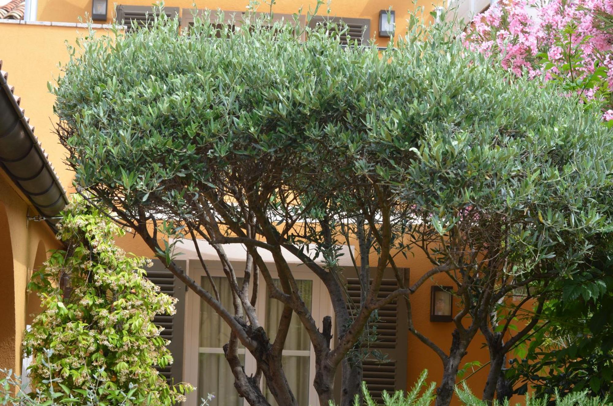 Le Mouillage Hotel