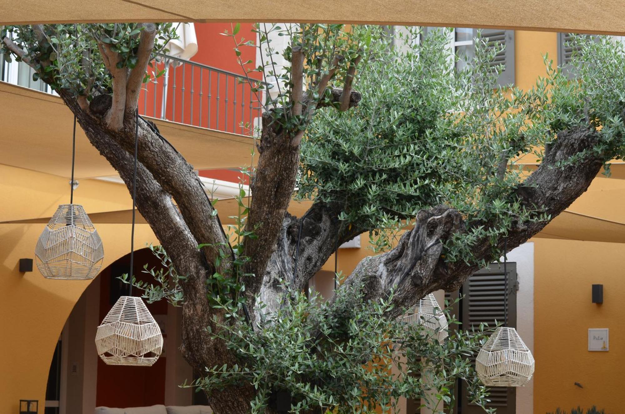 Le Mouillage Hotel