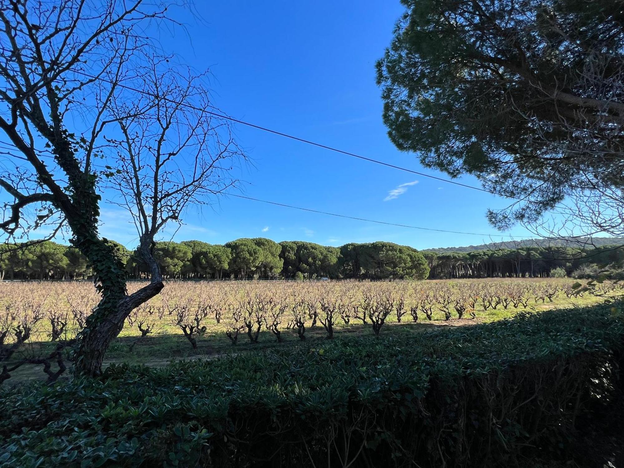 Lormarin Saint-Tropez