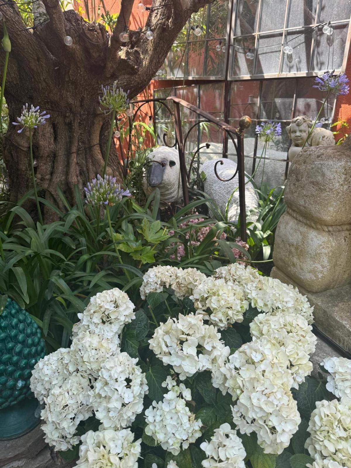 Romana Bed & Breakfast