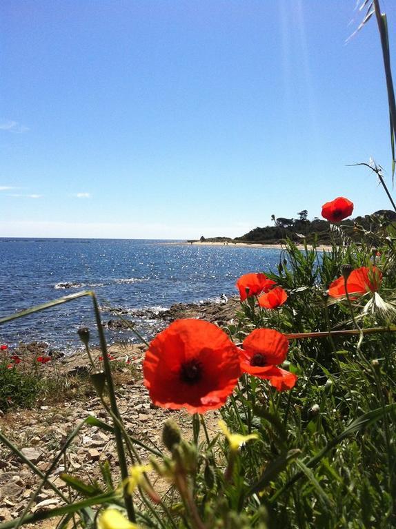 Les Floralies Saint-Tropez