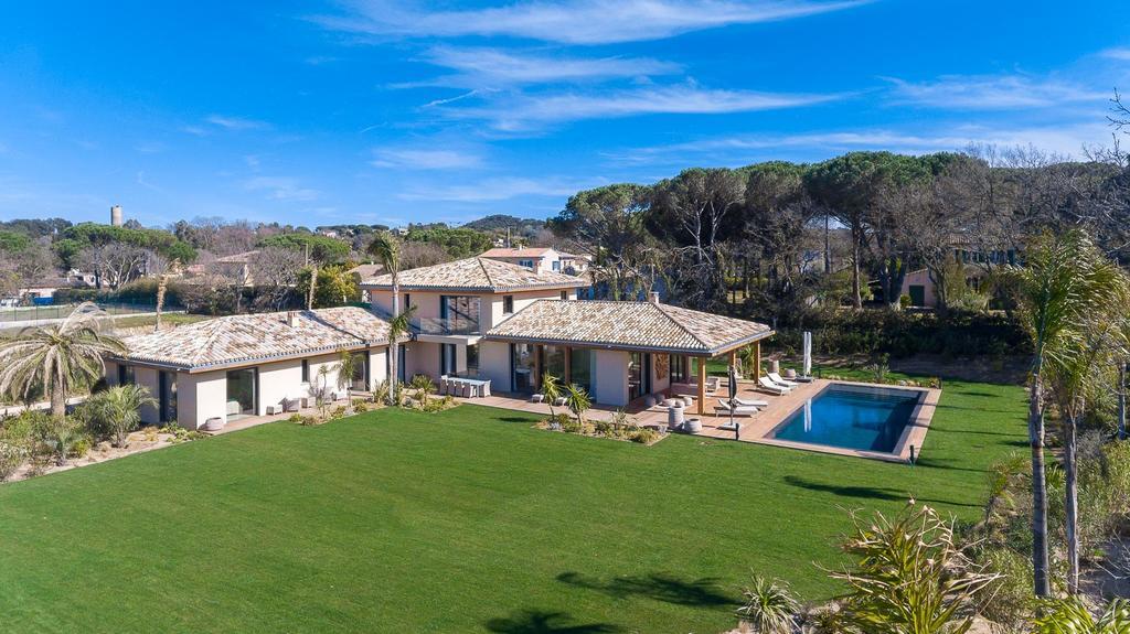 Palmiers Tropez *