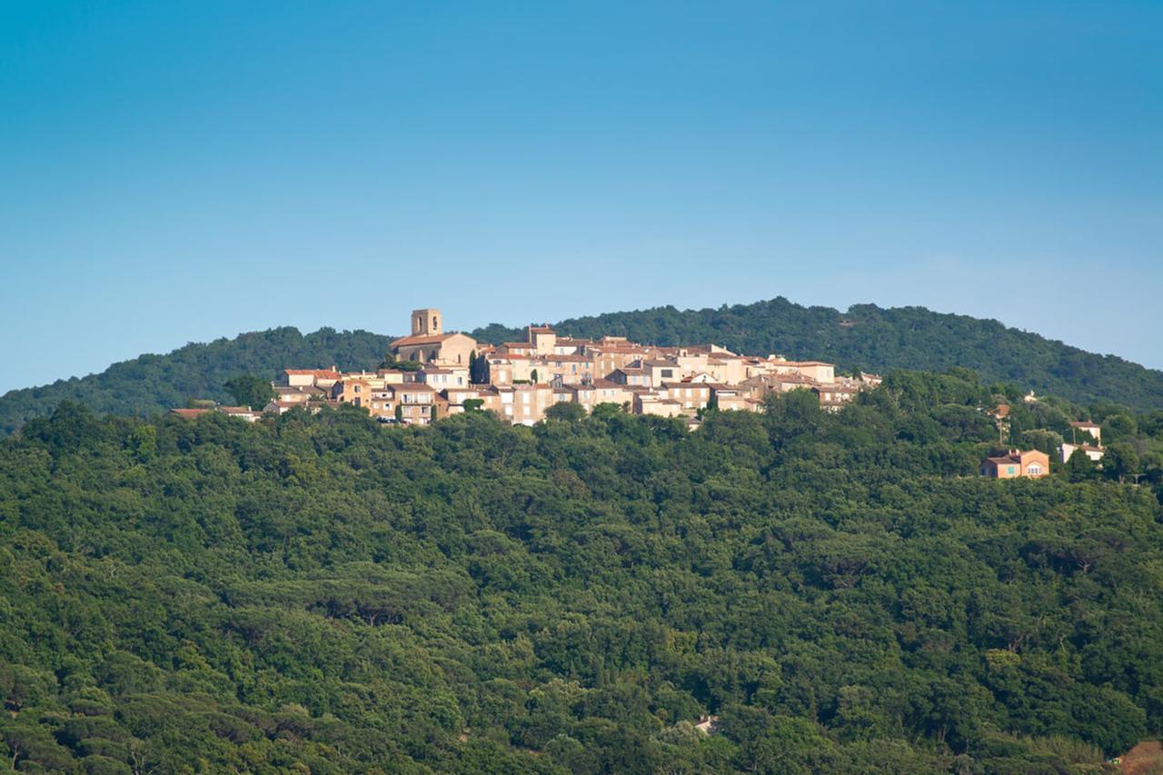 Zara - Tropez Saint-Tropez
