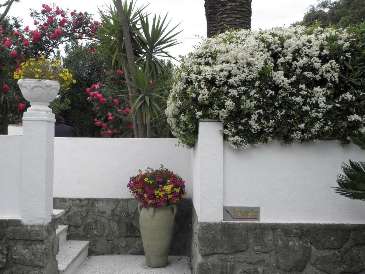 Ingrid Guest house Gassin