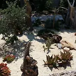 Villa St Tropez Pieds Dans L\'Eau Pampelonne Plage
