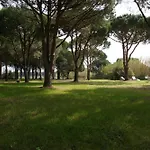 Lei Souco