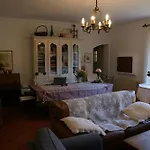 Lei Souco
