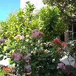 Hotel Les Palmiers