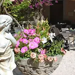 Hôtel Les Palmiers