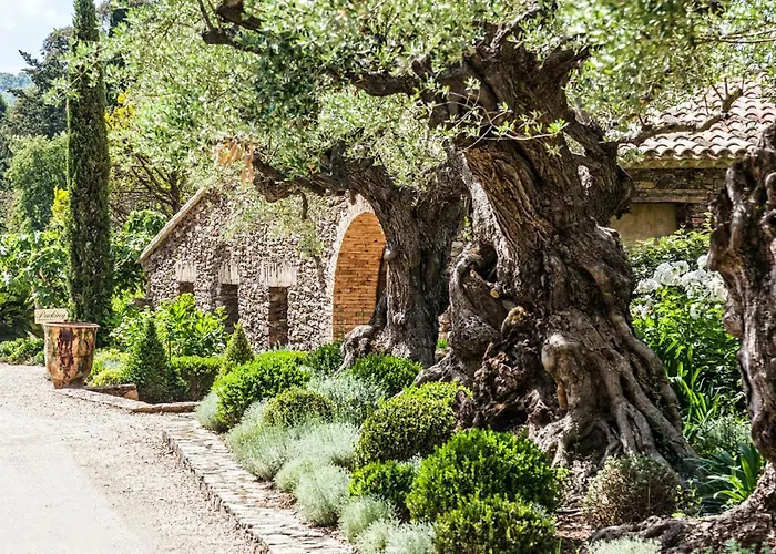 Domaine Les Mesanges