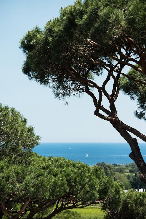 Marie Saint Tropez