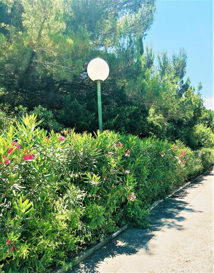 La Graziosa Apartment Saint-Tropez