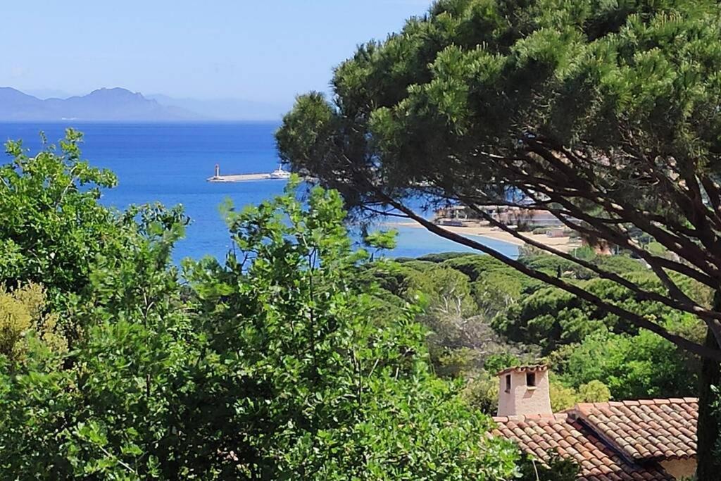 Apartment Tropezienne Saint-Tropez