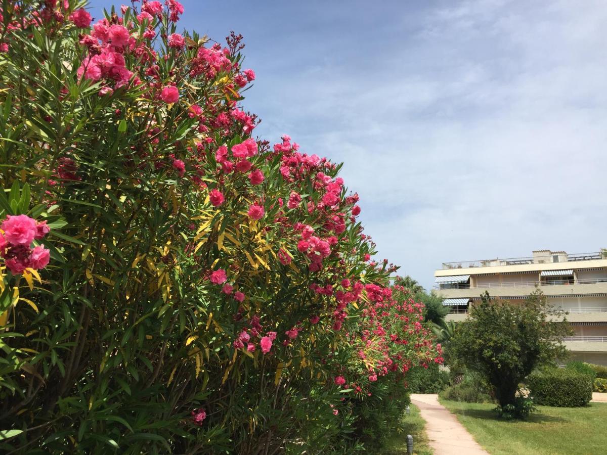 Brigitte Centre Tropez Parking Piscine Wifi Vue