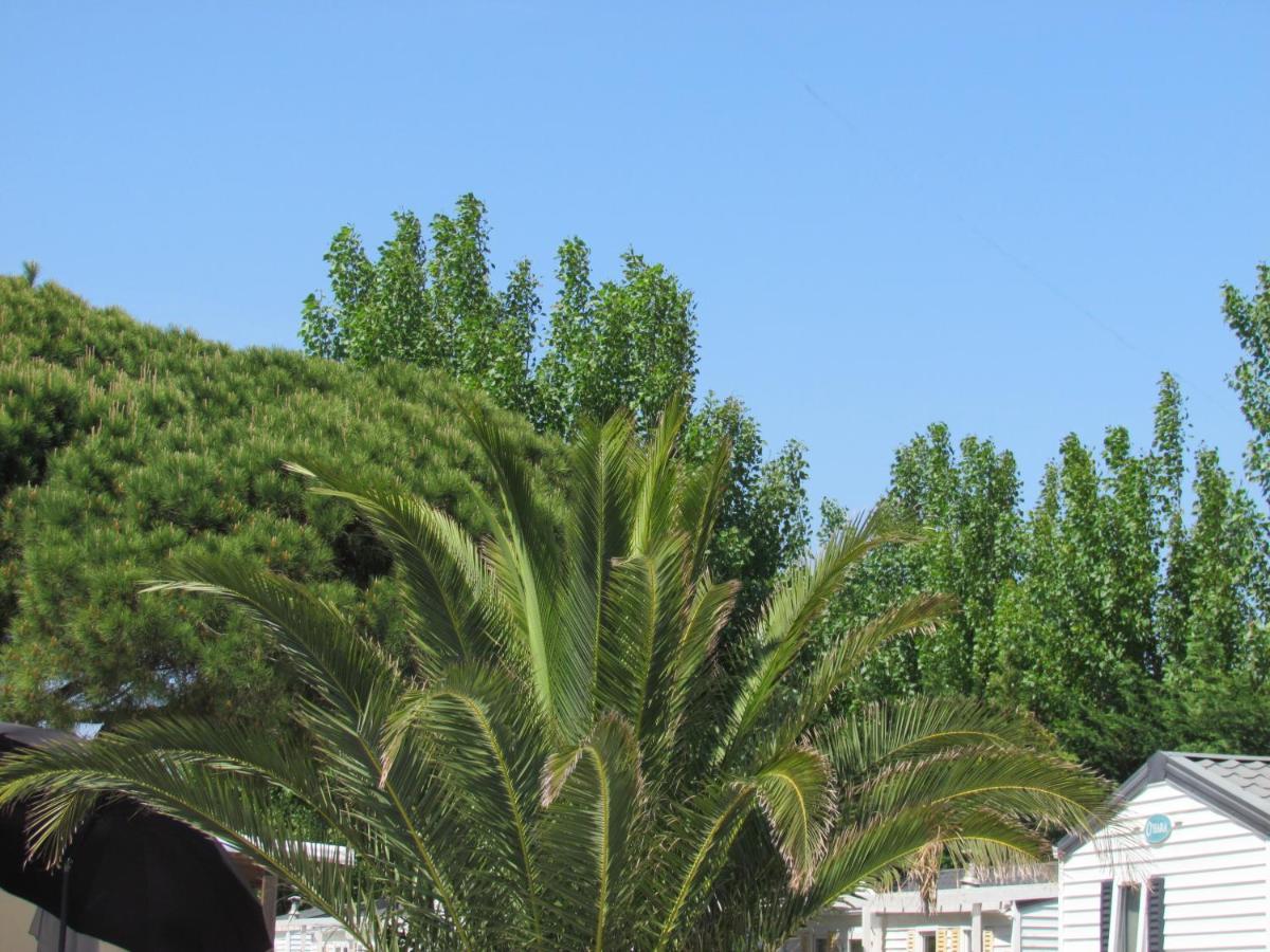 Campsite Mobilhome Pampelonne Jacobs Saint-Tropez