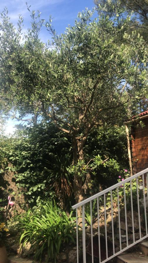Apartamento Des Salins Parc Des Salins St Tropez Saint-Tropez
