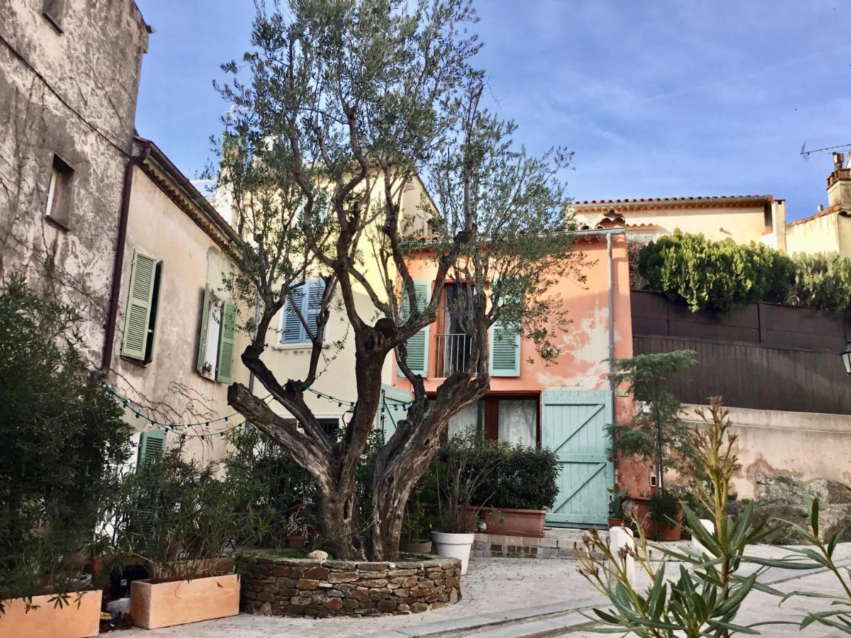 Apartment Ravissant Climatise Gambetta Misericorde Au Coeur De *