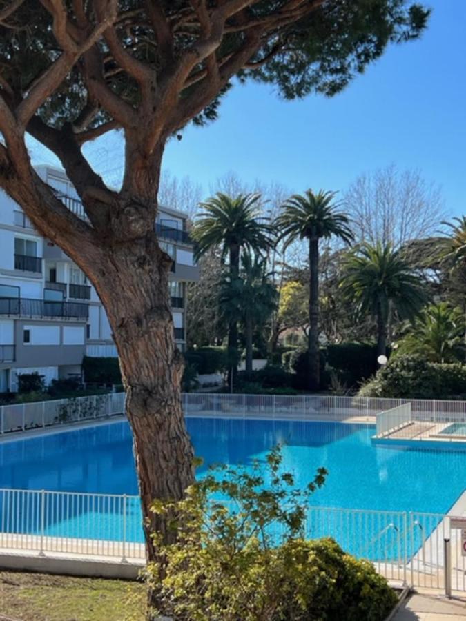 Apartment 35m With Pool For Couple In Tropez *