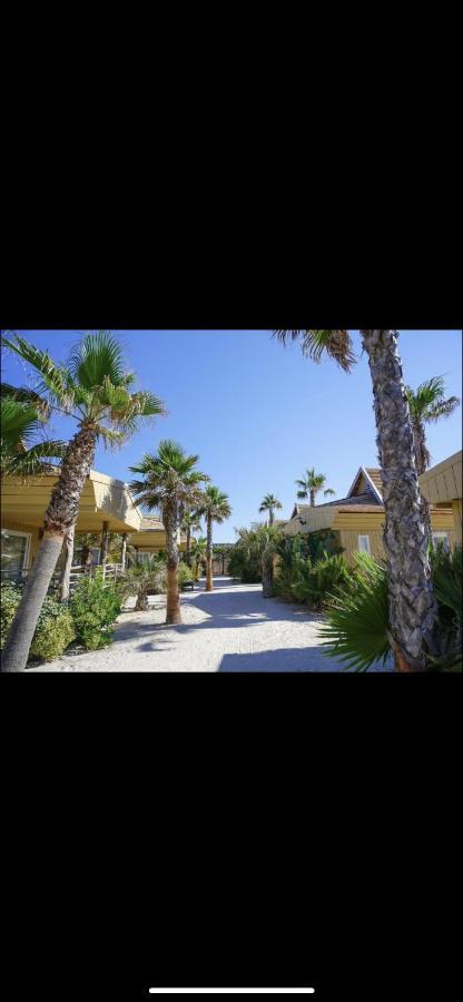 Campsite Bungalow Toison D'or Tropez *