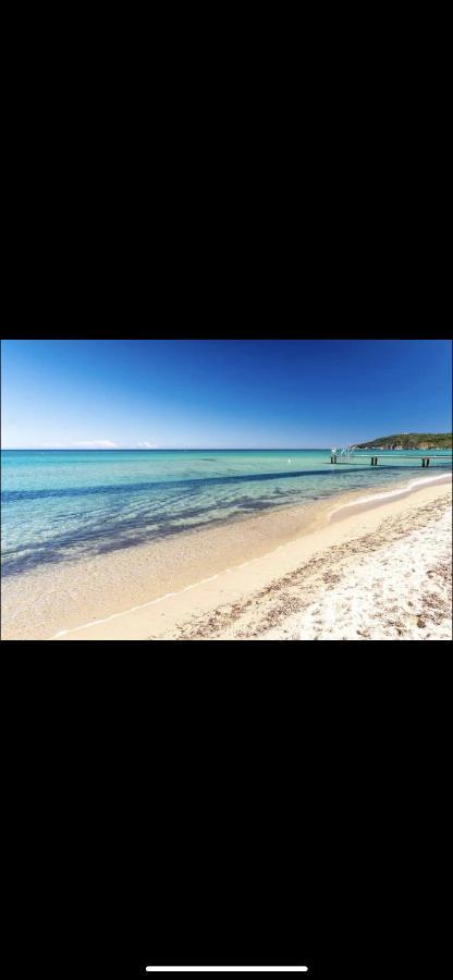 Bungalow Toison D'or Tropez Campsite
