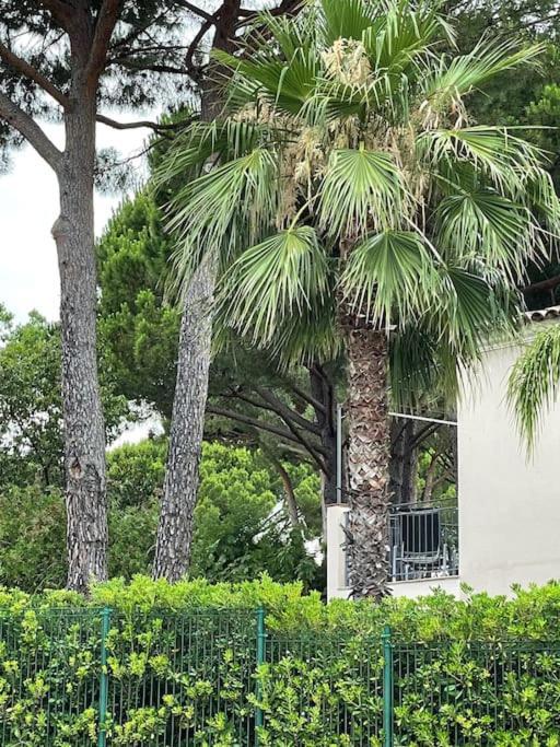 Casa Rama St Tropez Saint-Tropez