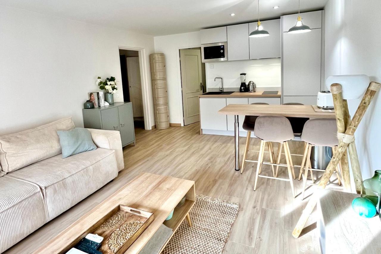 Magnifique 2 Terrasse Et Parking Apartment *