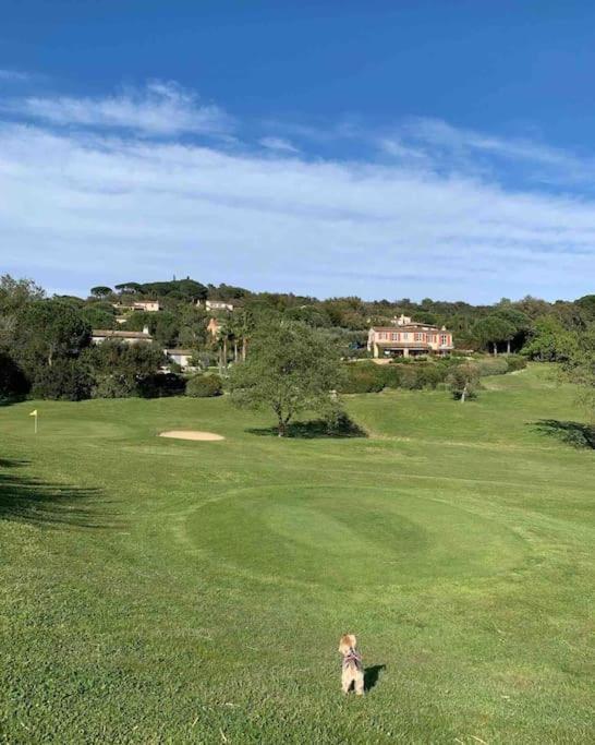 Holiday home Maison Classee Sur Le Golfe De St Tropez Saint-Tropez