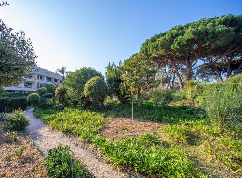 Entierement Renove Avec Terrasse * Saint-Tropez