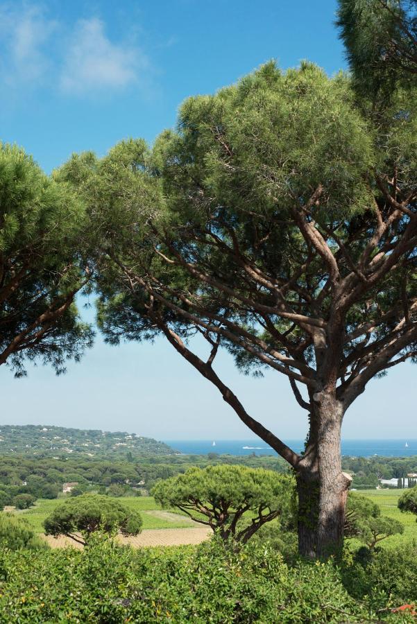 Marie Saint Tropez Ramatuelle