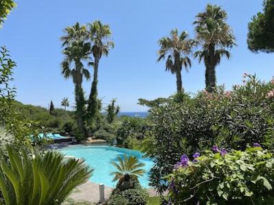 Orchard Saint-Tropez