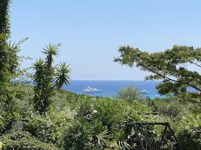 Orchard Villa Saint-Tropez