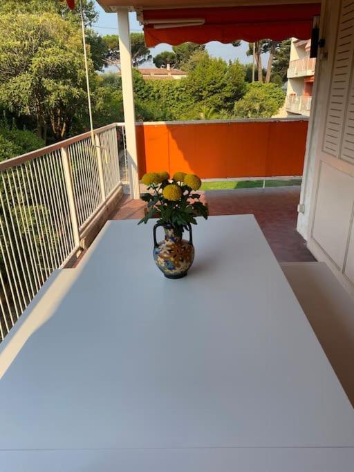 Appartement, Piscine, Terrasse, Clim, *