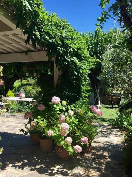 Ferienhaus Charming Provencal Mas With Amazing Sea View And Pool Saint-Tropez