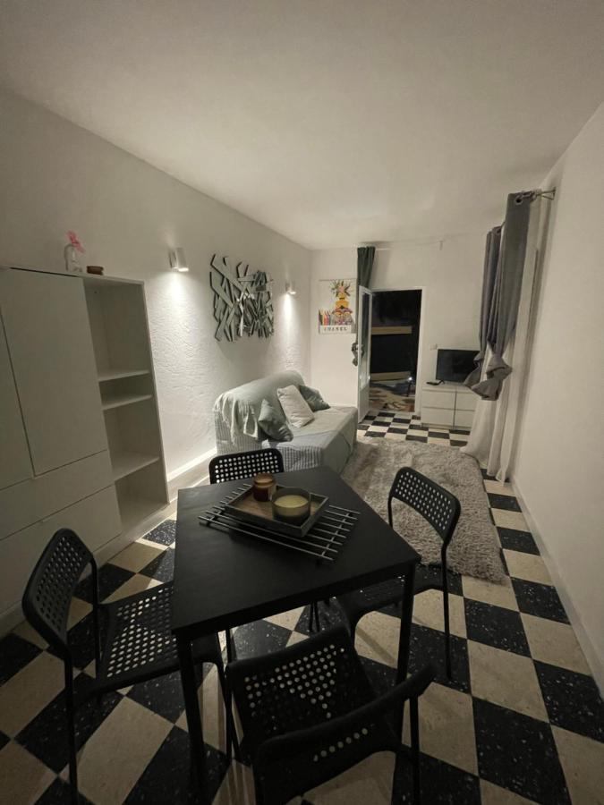 Apartment Plein Centre Avec Jardin