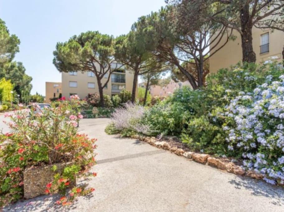 Antoine-city Center St-tropez-terraceparking Apartment Saint-Tropez