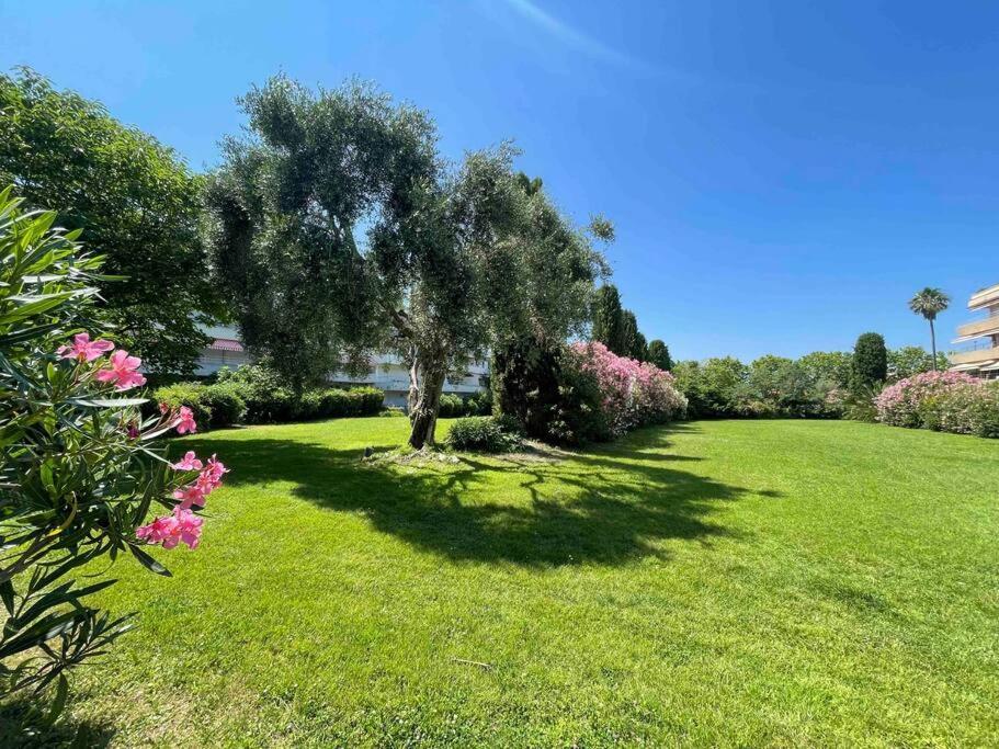 Apartment Avec Terrasse Au Centre De Saint-Tropez