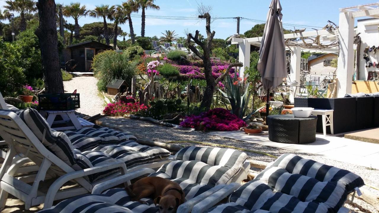 Villa St Tropez Pieds Dans L'eau Pampelonne Plage *