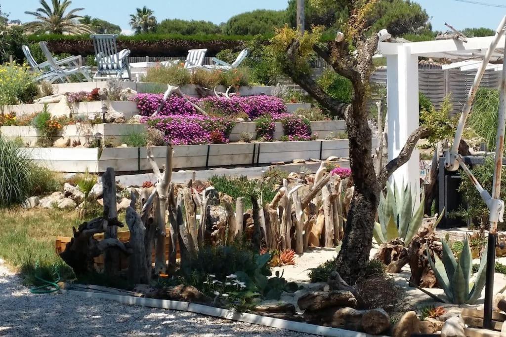 St Tropez Pieds Dans L'eau Pampelonne Plage *