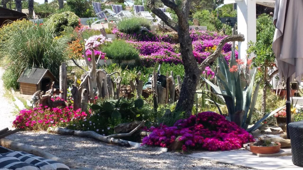Villa St Tropez Pieds Dans L'eau Pampelonne Plage *