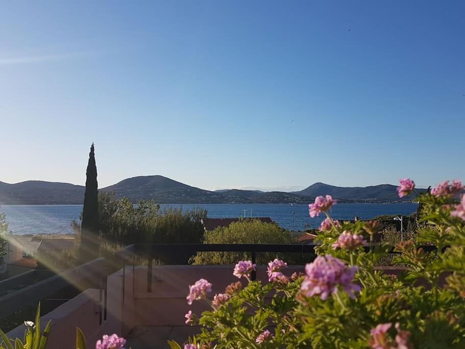 Sea Tropez-grand Studio, Terrasse Vue Mer, Garage